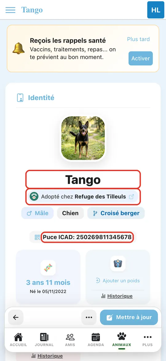 Capture de l'application : Fiche de Tango dans Son Espace Santé : « Adopté chez Refuge des Tilleuls », identité, puce, âge