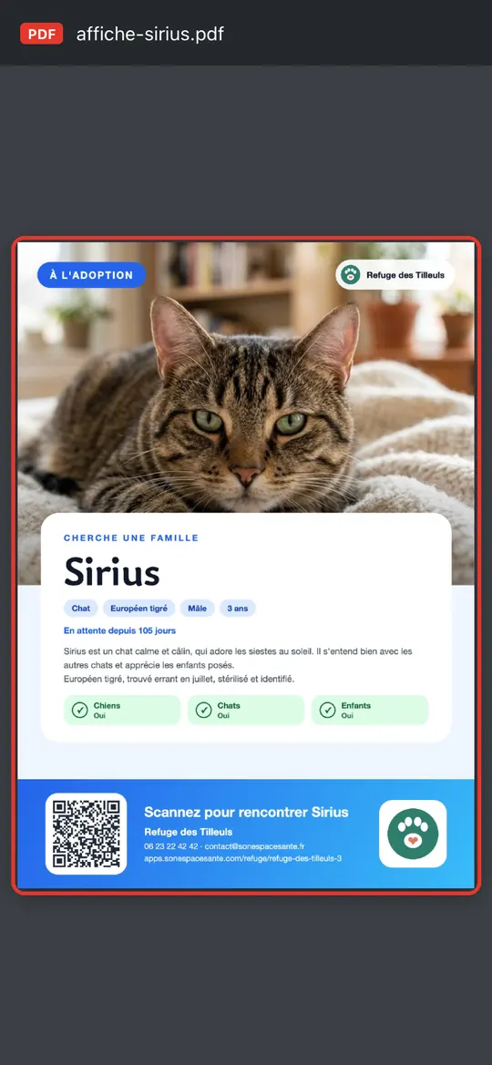 Capture de l'application : Aperçu du PDF de l'affiche de Sirius