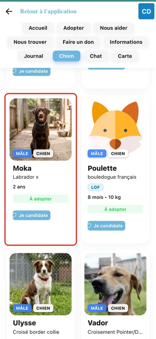 Capture de l'application : Carte de Moka sur la page publique : photo, sexe, espèce, race