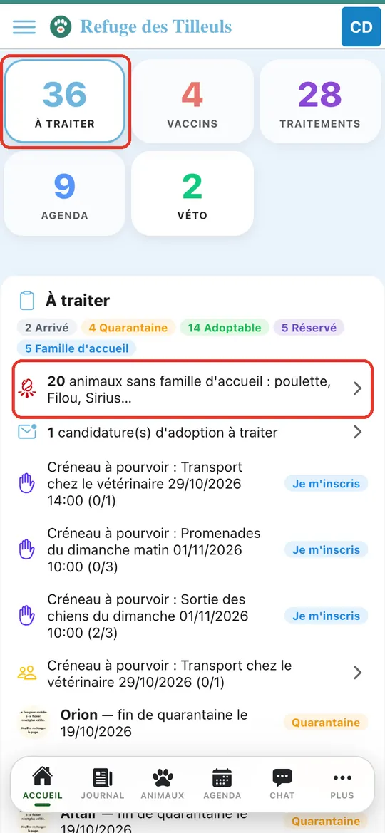 Capture de l'application : Bloc « À traiter » : ligne « animaux sans famille d'accueil »