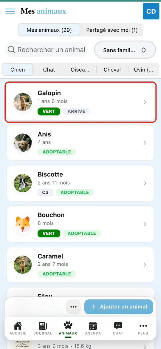 Capture de l'application : Liste des animaux filtrée sur les animaux sans famille d'accueil