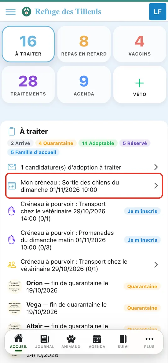 Capture de l'application : Accueil de Léa : ligne « Mon créneau : Sortie des chiens du dimanche »