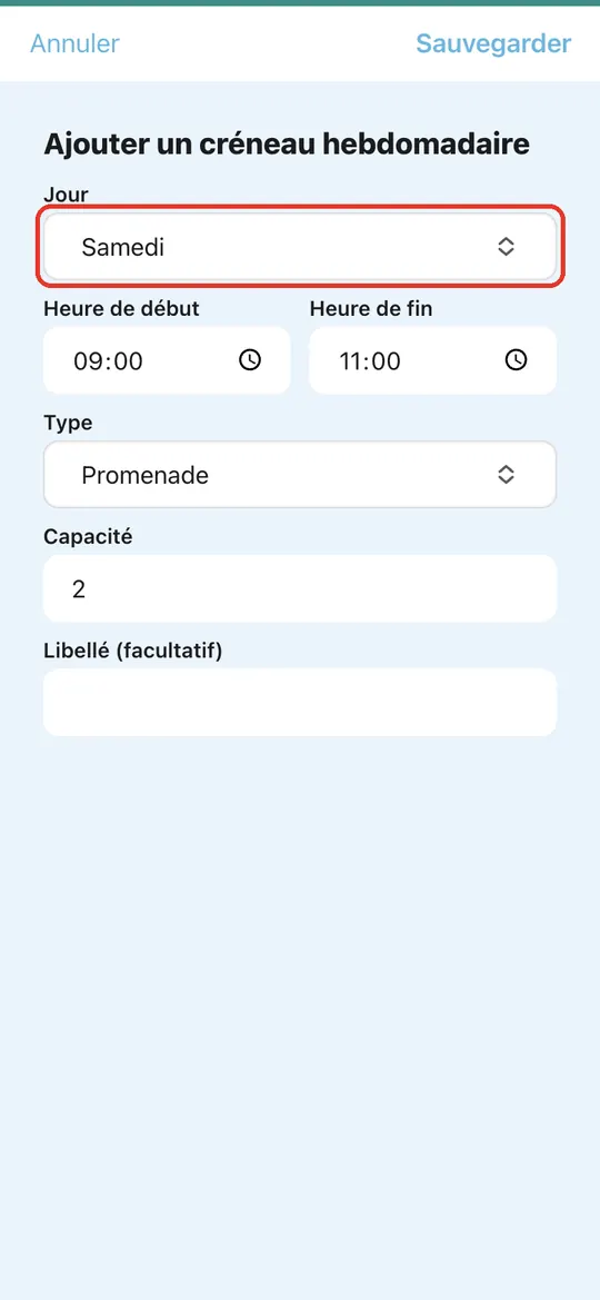 Capture de l'application : Formulaire « Ajouter un créneau hebdomadaire » : Jour, heures, type, capacité, libellé