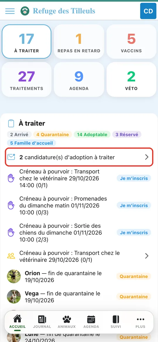 Capture de l'application : Ligne « candidature(s) d'adoption à traiter »