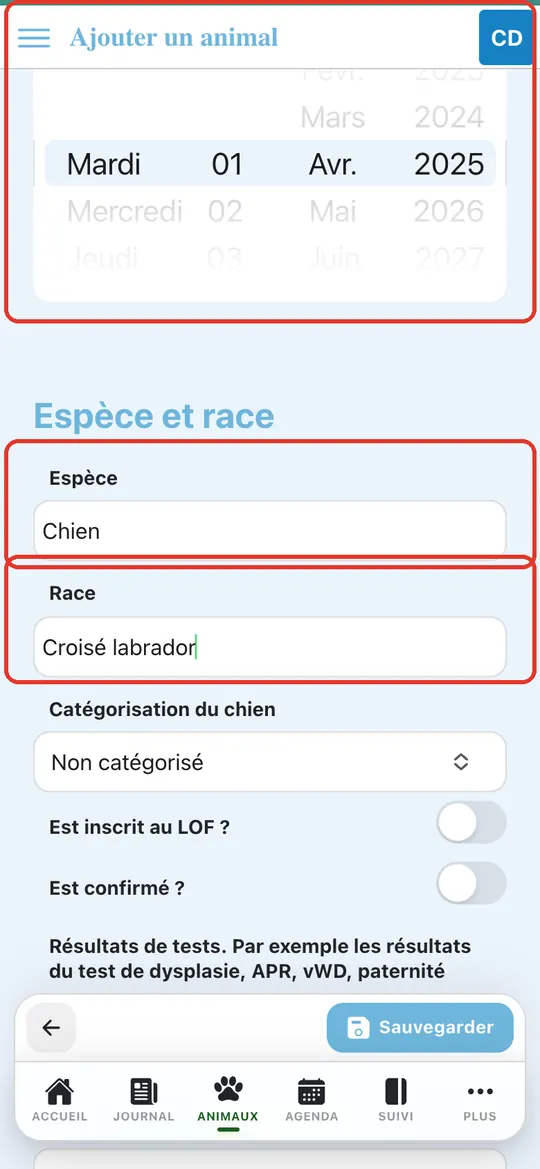 Capture de l'application : Date de naissance, espèce Chien, race « Croisé labrador »