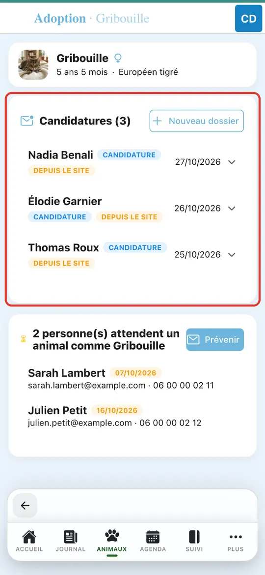 Capture de l'application : Onglet Adoption de Gribouille : Nadia, Élodie, Thomas, badges « Candidature » et « Depuis le site »