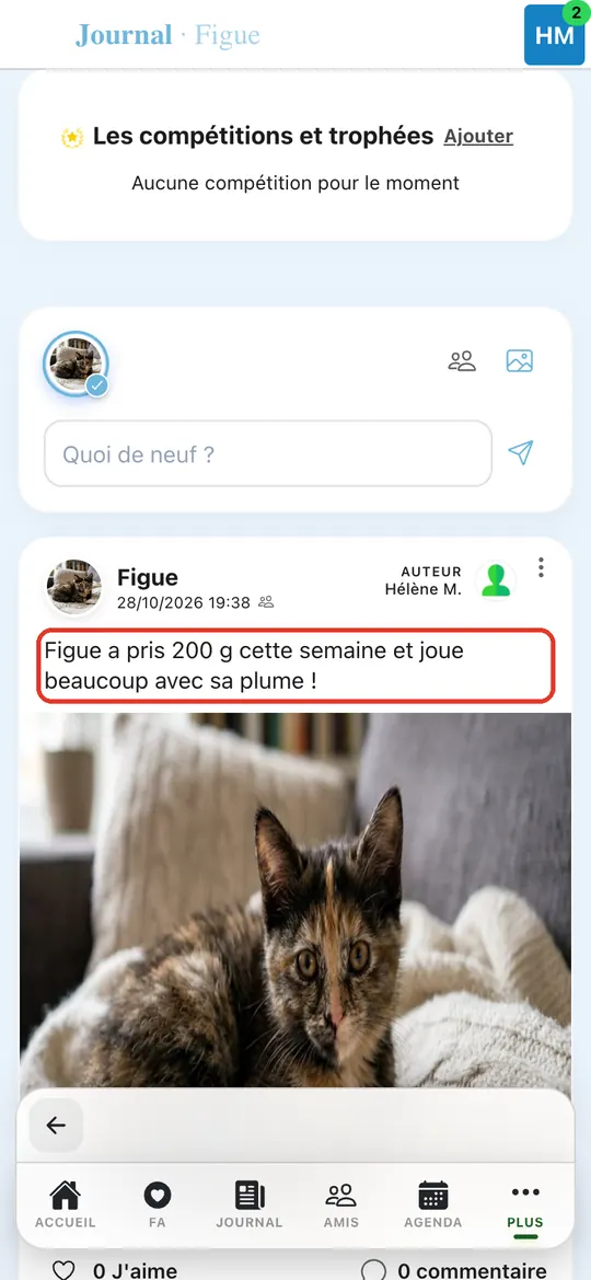 Capture de l'application : Publication avec la photo dans le journal de Figue