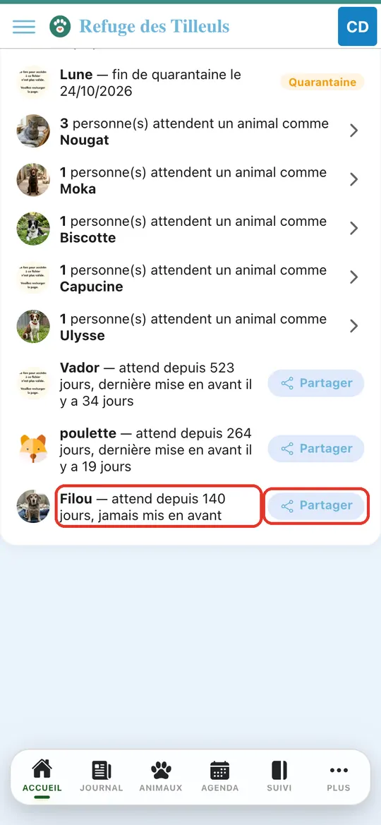 Capture de l'application : Ligne « Filou — attend depuis 140 jours, jamais mis en avant » et bouton Partager