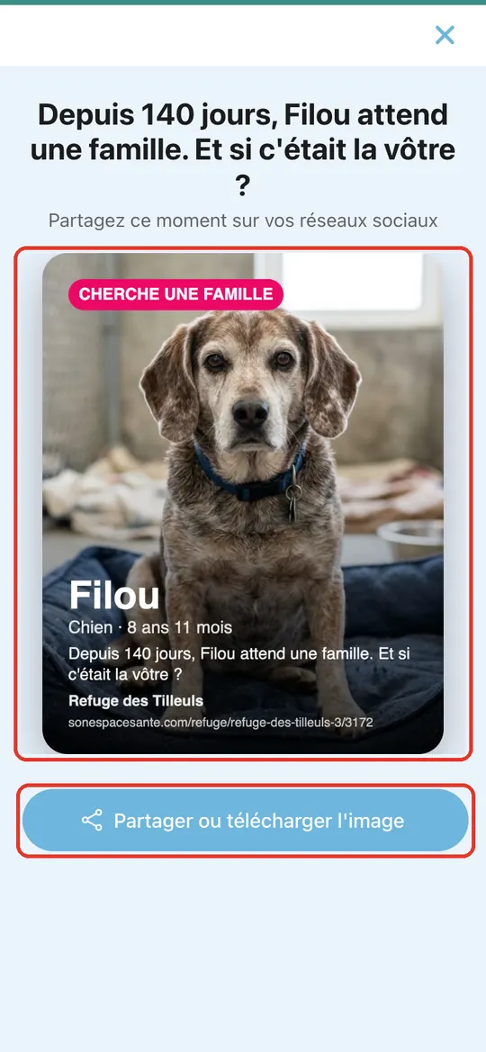 Capture de l'application : Affiche de Filou générée (photo, âge, nombre de jours d'attente), boutons de partage