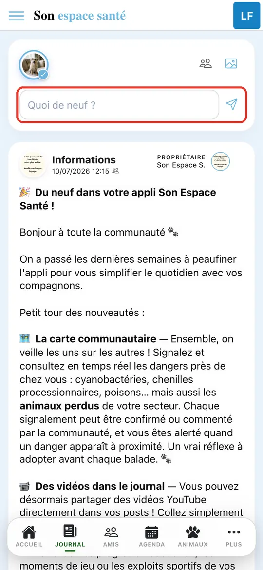 Capture de l'application : Journal de l'app, zone de publication