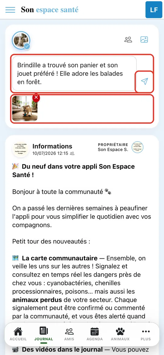 Capture de l'application : Photo de Brindille, texte saisi, bouton d'envoi