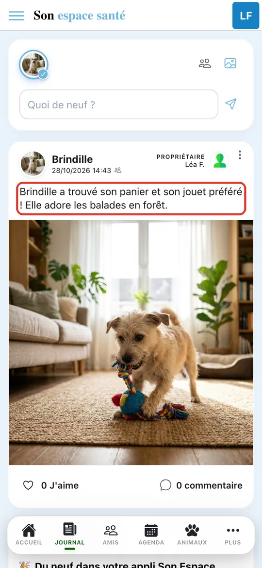 Capture de l'application : Publication dans le fil du journal