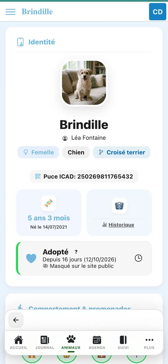 Capture de l'application : Fiche de Brindille en lecture : Léa Fontaine, statut Adopté