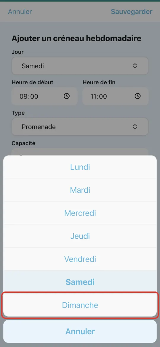 Capture de l'application : Liste des jours ouverte par le bas, appui sur « Dimanche »