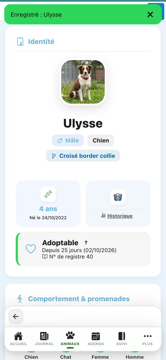 Capture de l'application : Message « Enregistré : Ulysse » en haut de l'écran