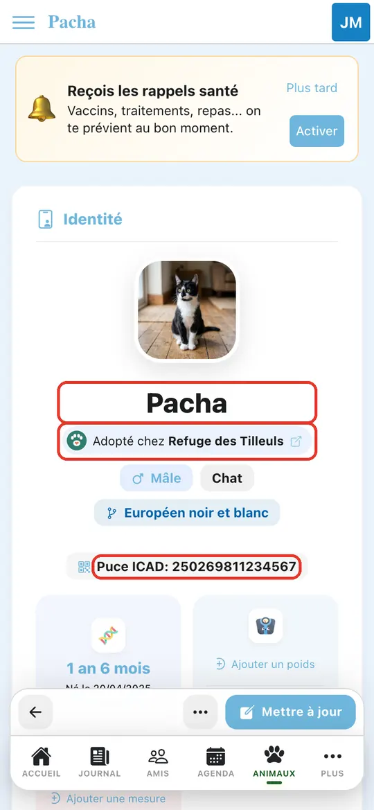 Capture de l'application : Fiche de Pacha dans Son Espace Santé : « Adopté chez Refuge des Tilleuls », identité, puce, âge